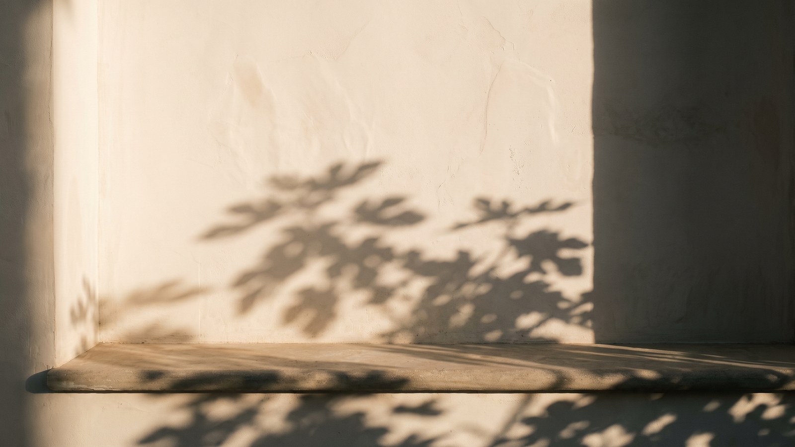 Dappled afternoon light falling through fig leaves onto a bare lime-plaster wall and a plain stone ledge, the leaf shadows soft and unhurried.
